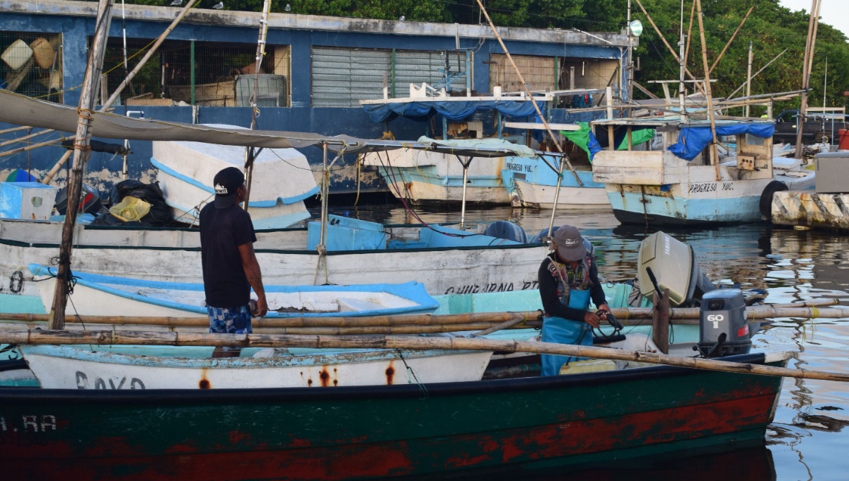Continúa extraño manchón en costas de Yucatán; pescadores temen que sea marea roja