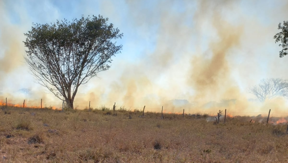Incendios consumen cerca de 15 hectáreas de la carretera Buctzotz-Tizimín