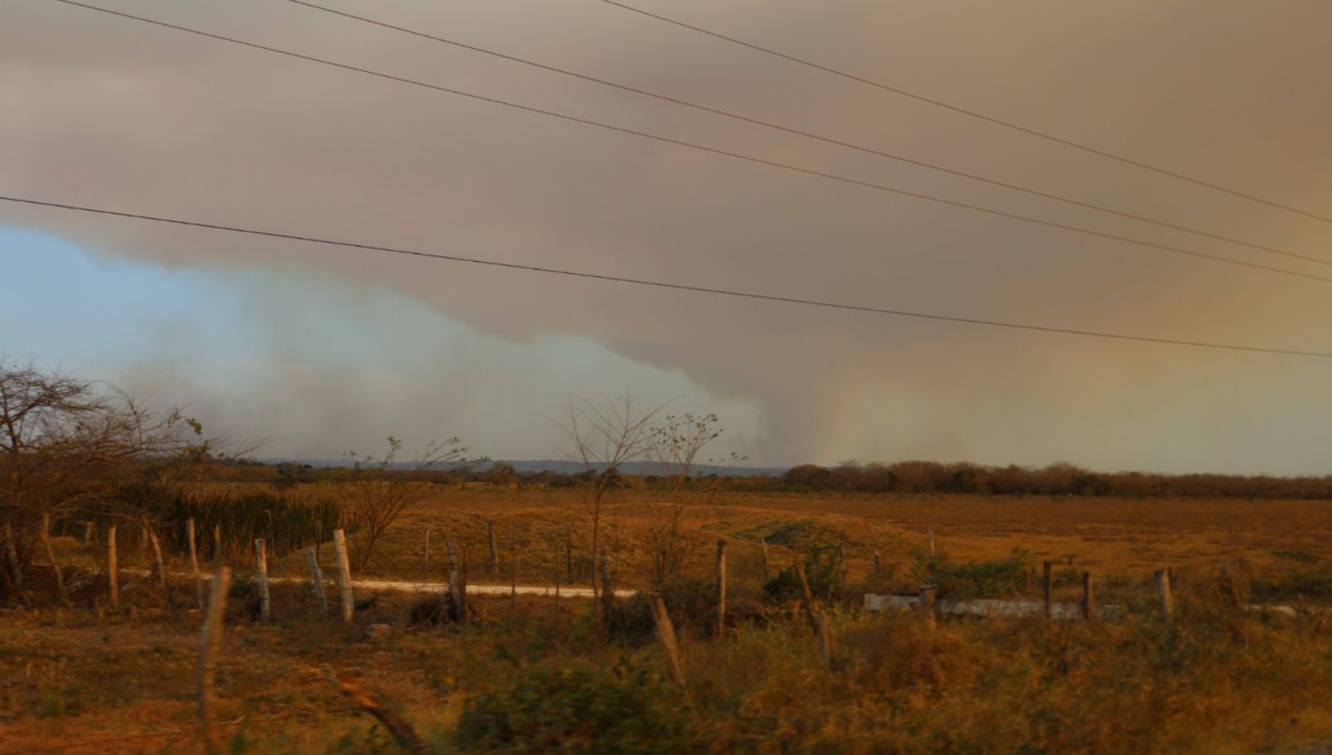 Incendios en Campeche han consumido más de 2 mil hectáreas de pastizales