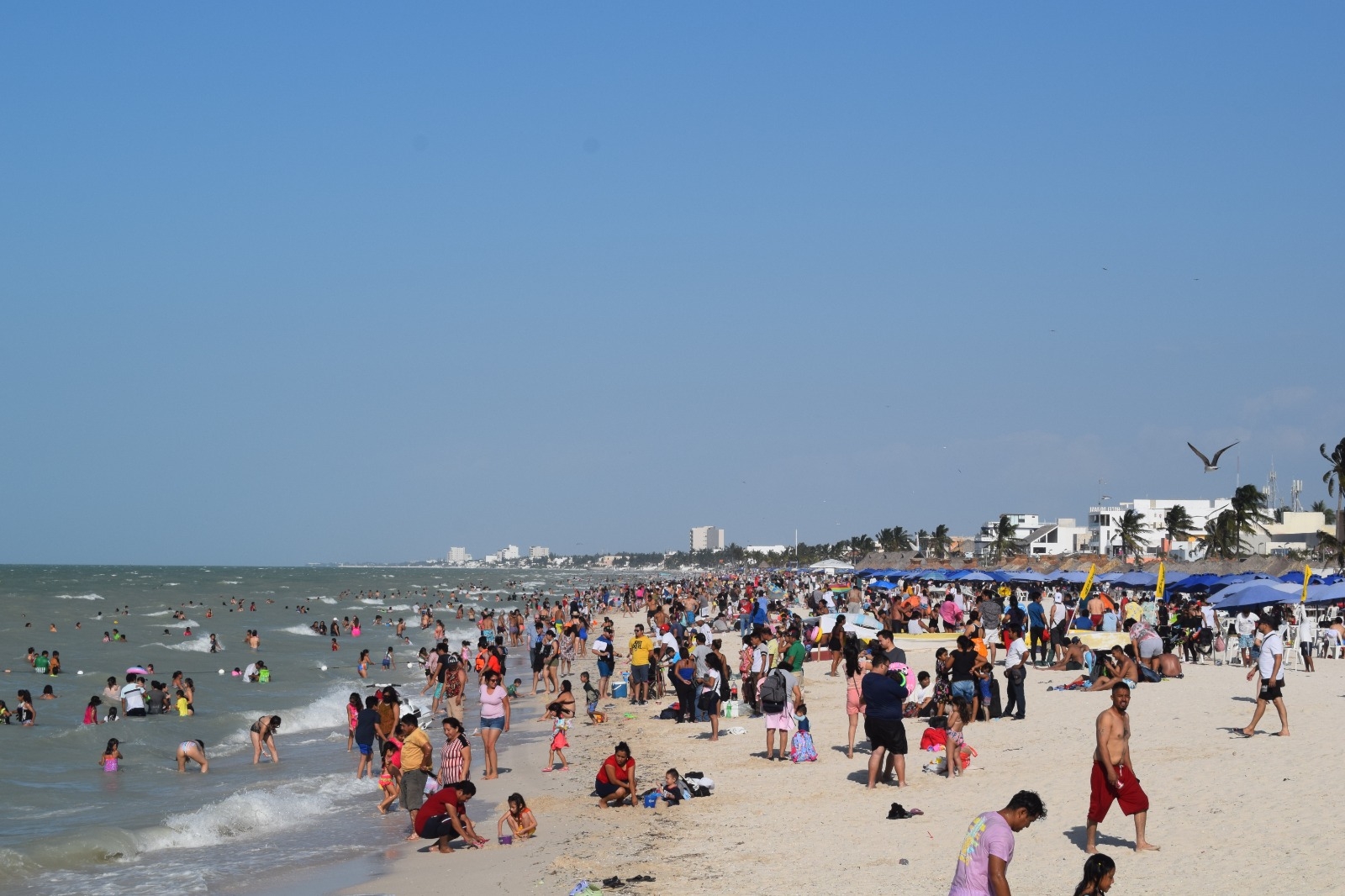 Más de 100 mil personas visitan playas de Progreso durante el Viernes Santo