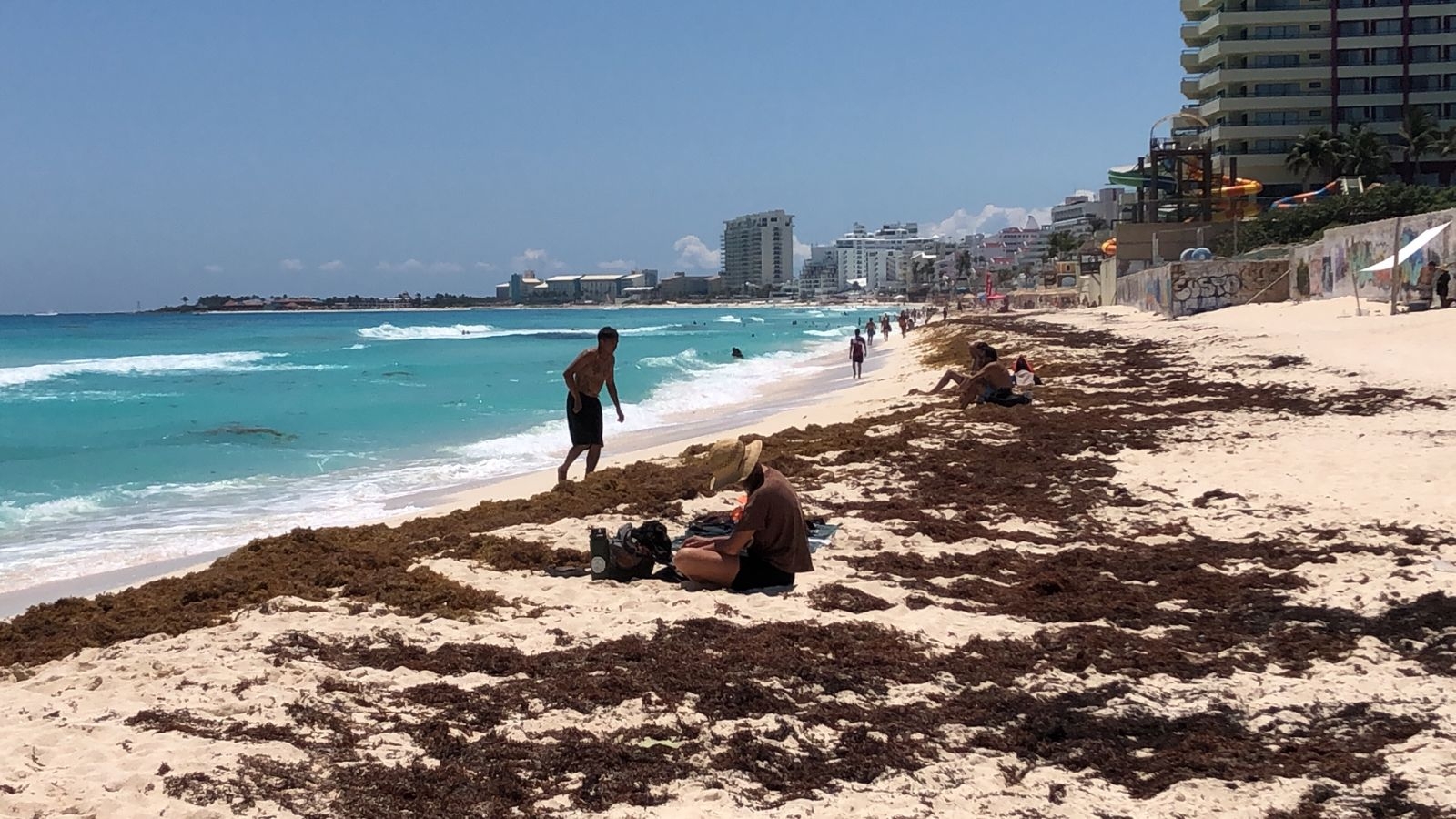 Playas de Cancún lucen repletas de bañistas pese al sargazo: EN VIVO