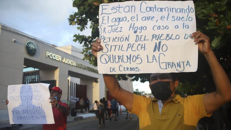 En Yucatán, sólo 22 granjas porcícolas cuentan con permisos de las 507 que operan
