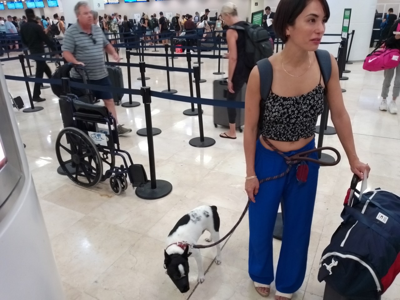 Peludito viaja a Monterrey con su dueña desde el aeropuerto de Cancún