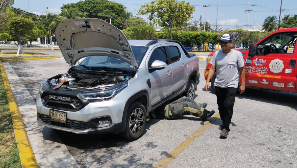 Gatito causa caos al quedar atrapado en un motor de un auto en Ciudad del Carmen