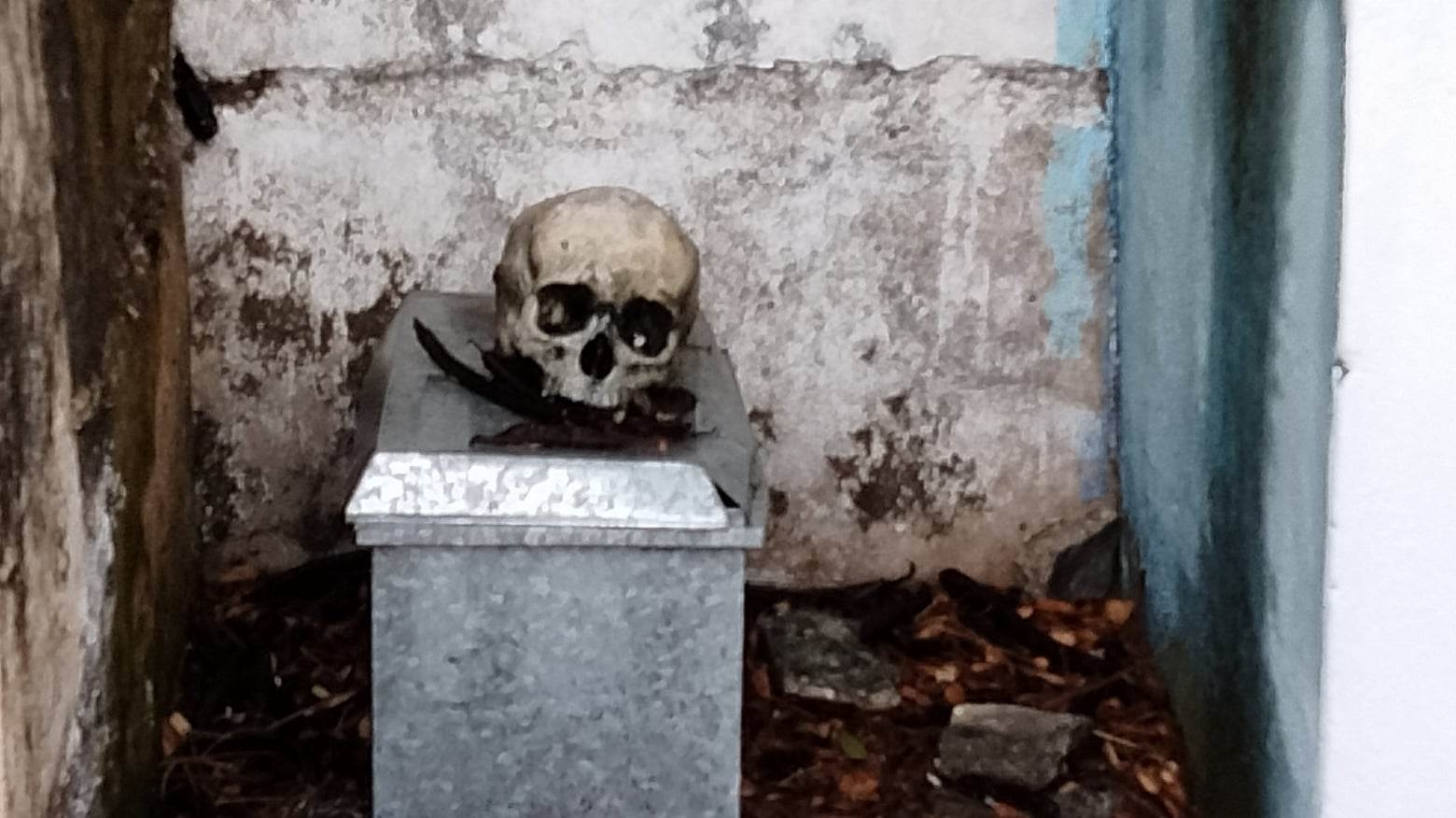 Emergen cráneos de las tumbas en el cementerio de Acanceh; reportan vecinos