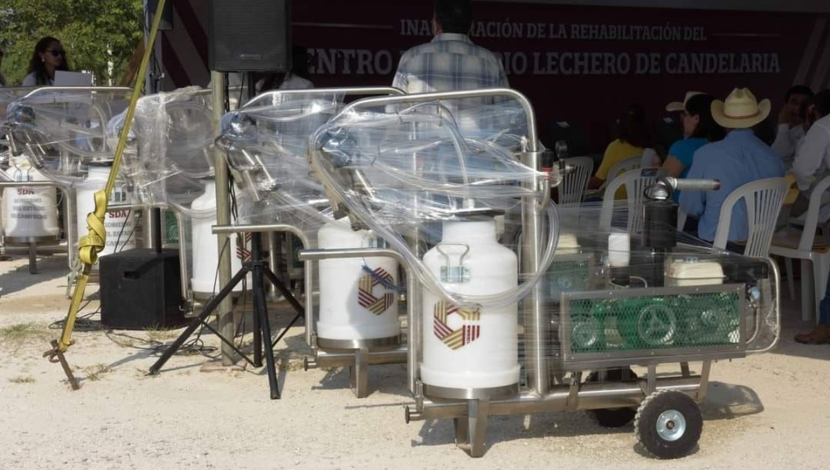 En Ciudad del Carmen, buscan incrementar la producción de productos lácteos a precios accesibles
