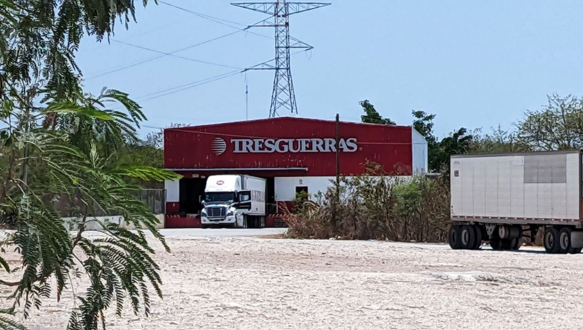 Decomisan cargamento de marihuana en la paquetería 'Tresguerras' en Campeche