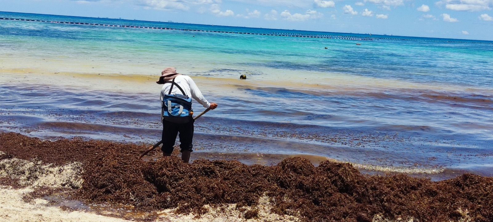 Recolectores de sargazo en Playa del Carmen aseguran que no cuentan con equipo para realizar su labor