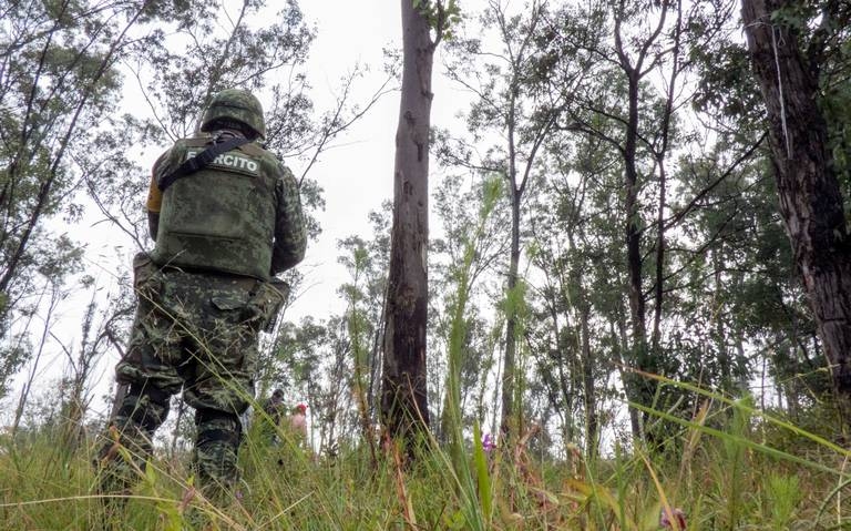 Agentes del Ejército mexicano abaten a ocho sicarios en Michoacán