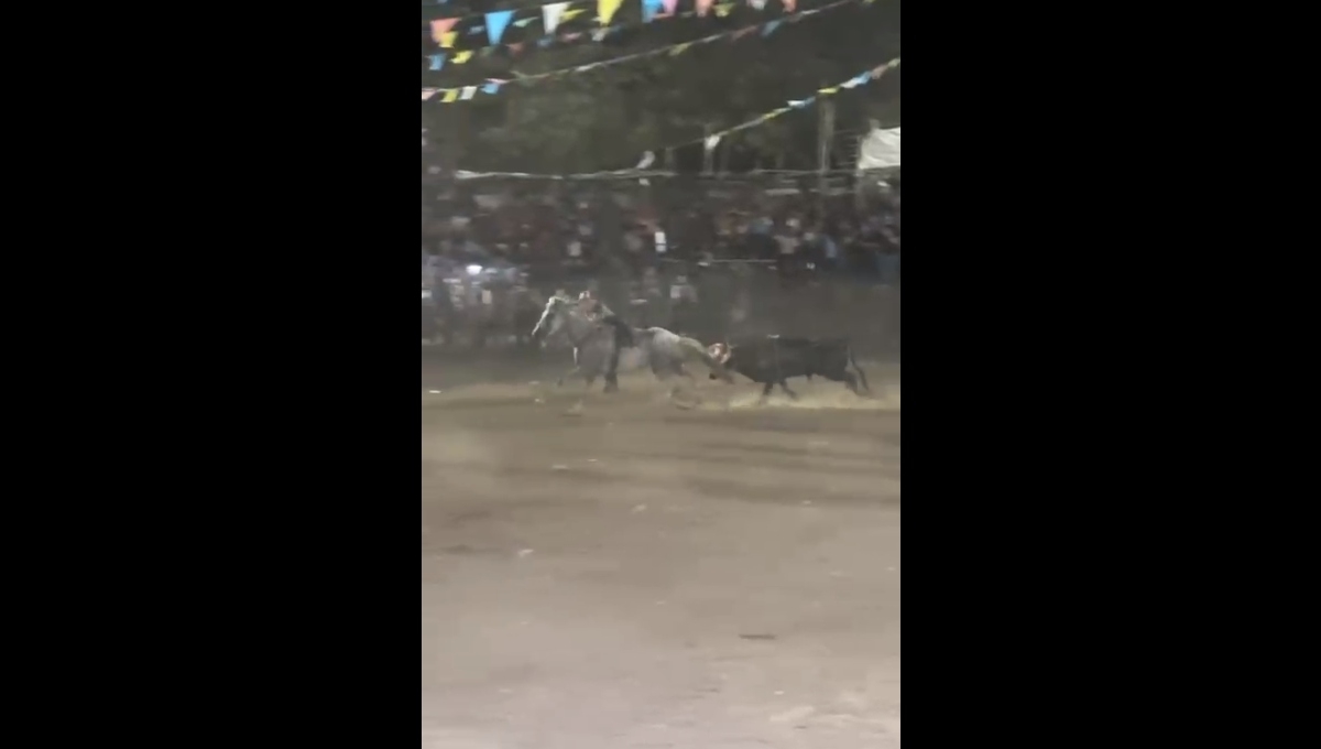 Toro persigue a vaquero durante la fiesta tradicional de San Isidro labrador en Chocholá: VIDEO