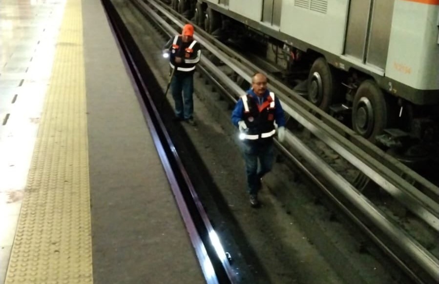 Metro CDMX busca cacomixtle captado paseando por vías de la Línea 7: VIDEO