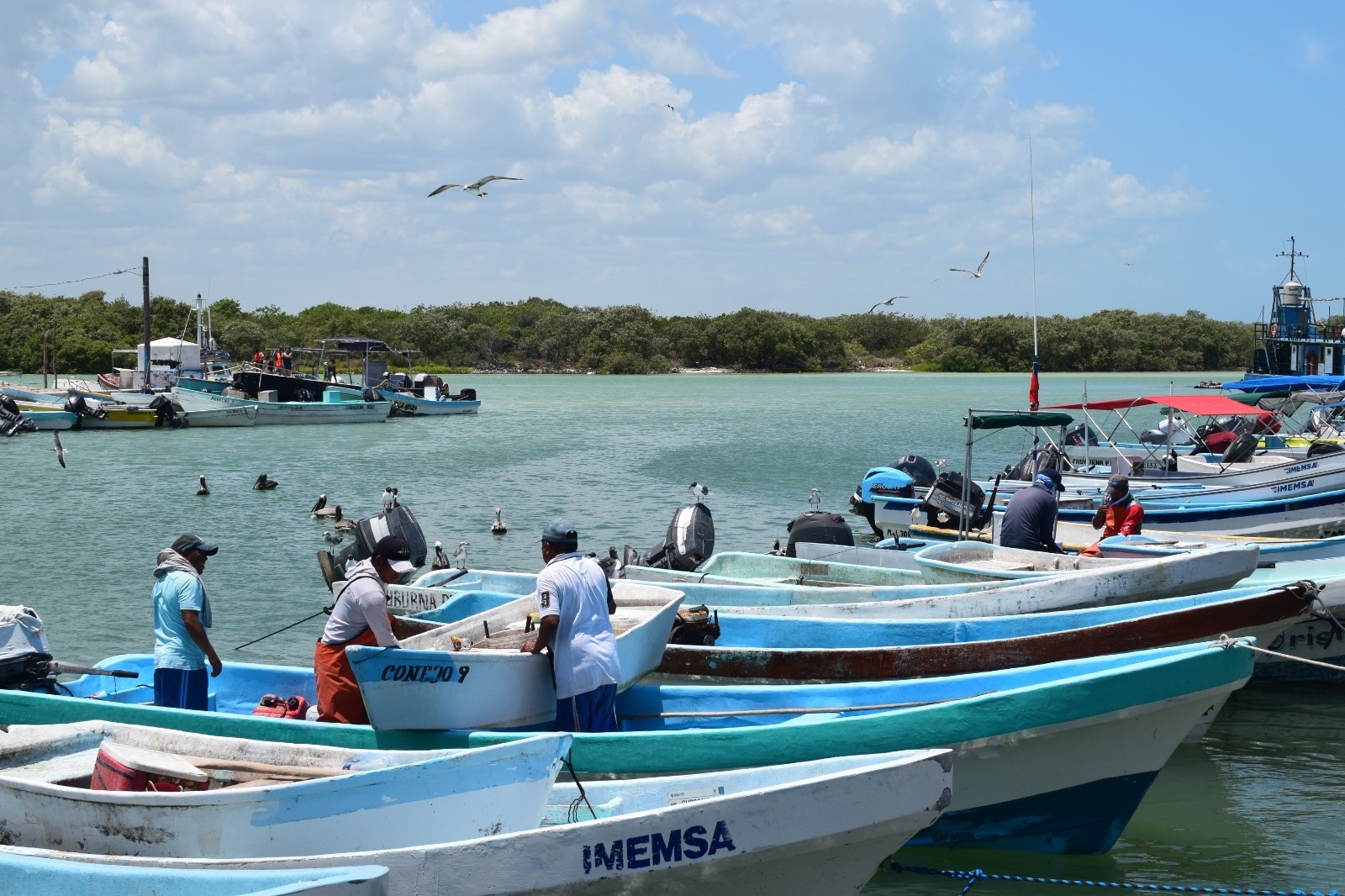 Pescadores rechazan que el Ayuntamiento de Progreso administre el embarcadero de Chuburná