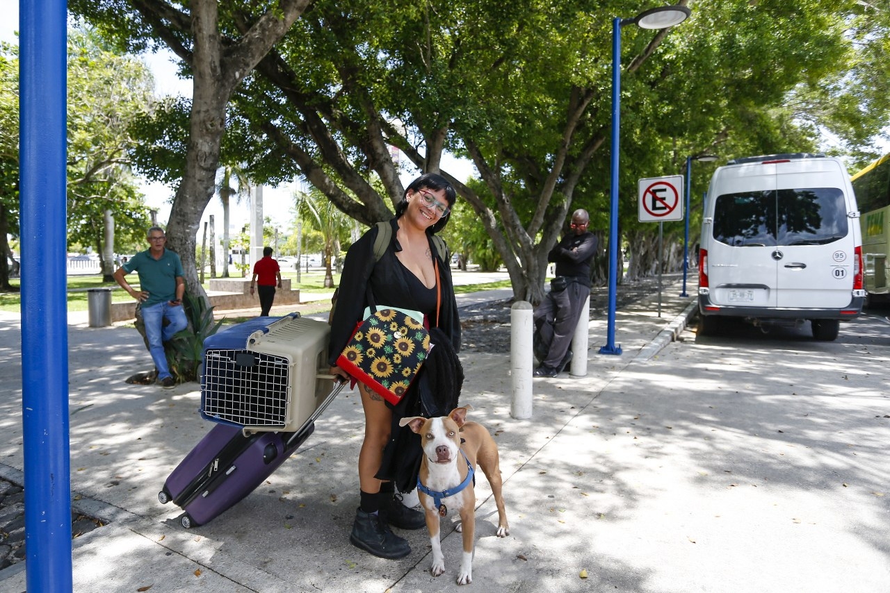 Aeropuerto de Cancún: Aerolíneas determinan las políticas para viajar con animales