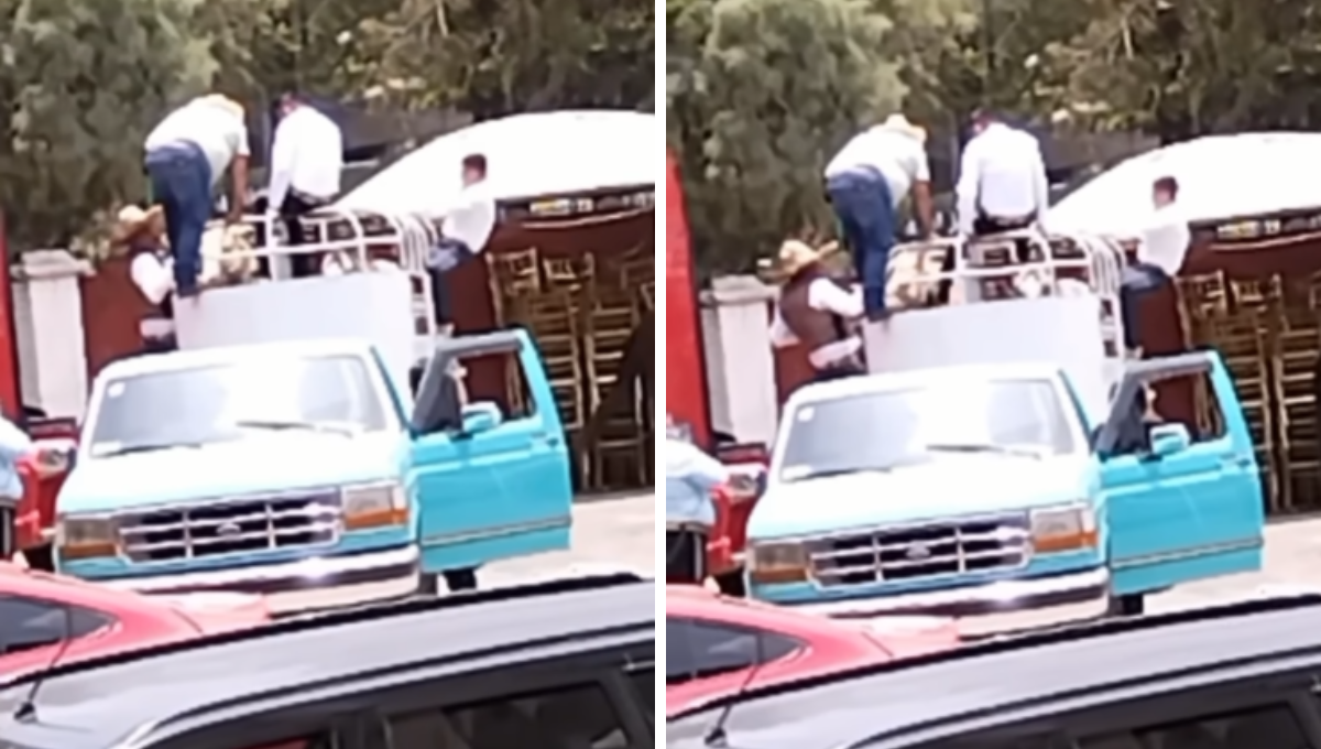 Atacan a patadas a un caballo durante charrería en la CDMX; Cuacolandia exige justicia