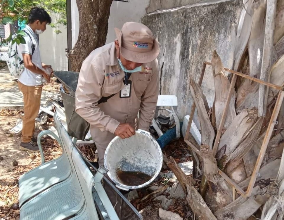 Reportan nuevo caso de dengue hemorrágico en Tizimín; van cuatro en el mes de mayo