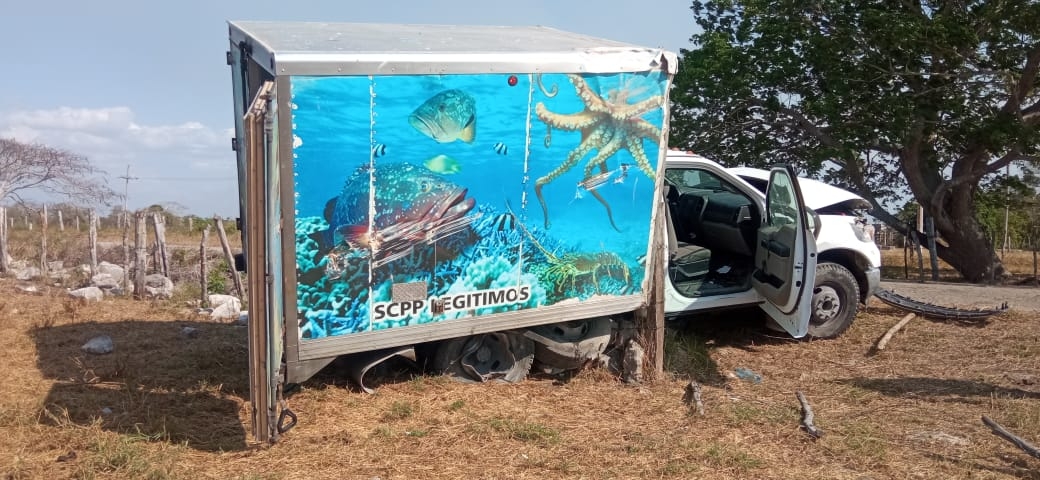Camioneta con mariscos se sale de la carretera y derriba alambrado en Tizimín
