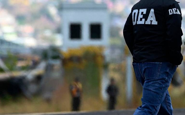EU decomisa casi 44 millones píldoras de fentanilo vinculadas a cárteles mexicanos