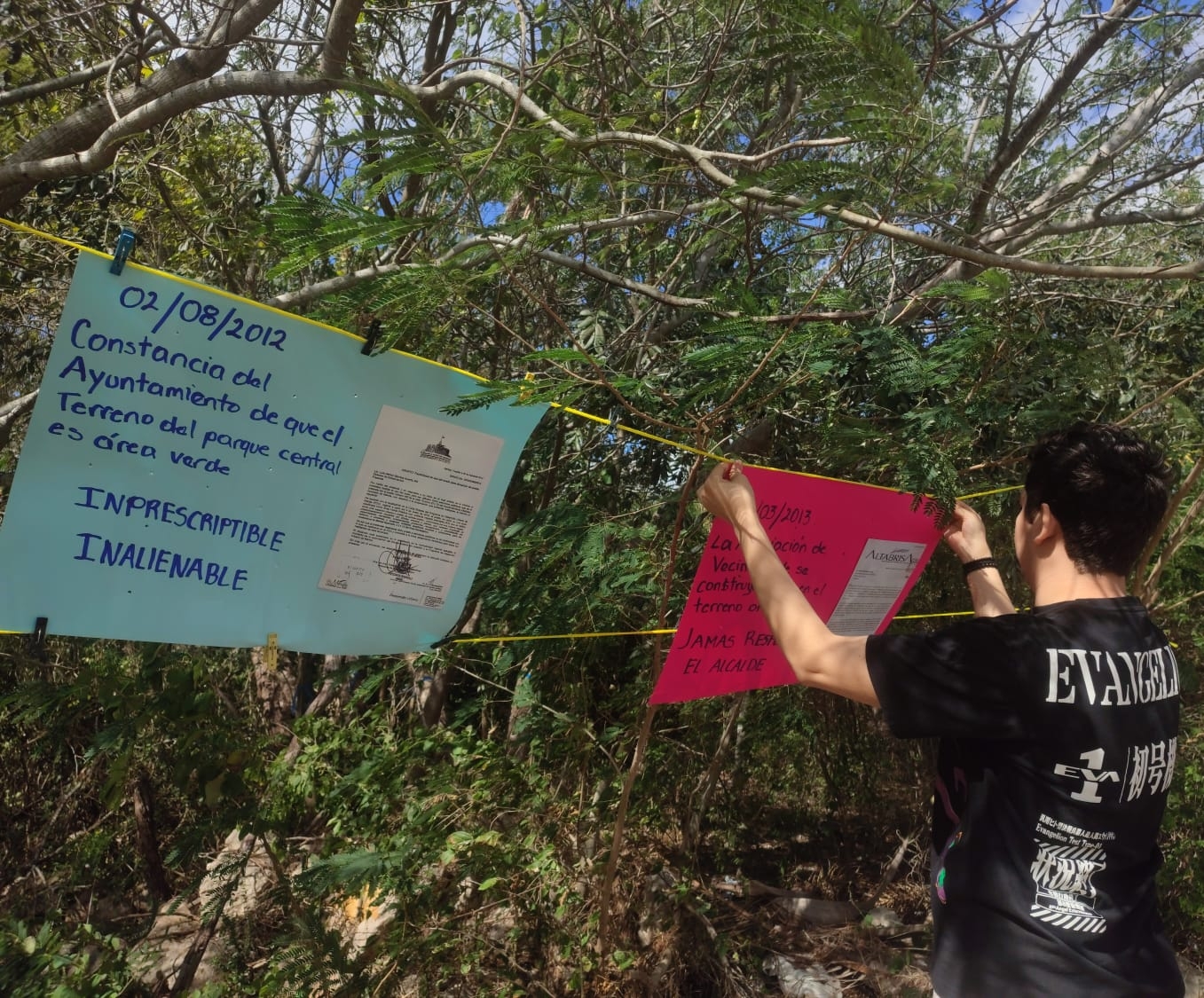 Parque Tho' en Mérida: Renán Barrera mete maquinaria para deforestar pese a acuerdos