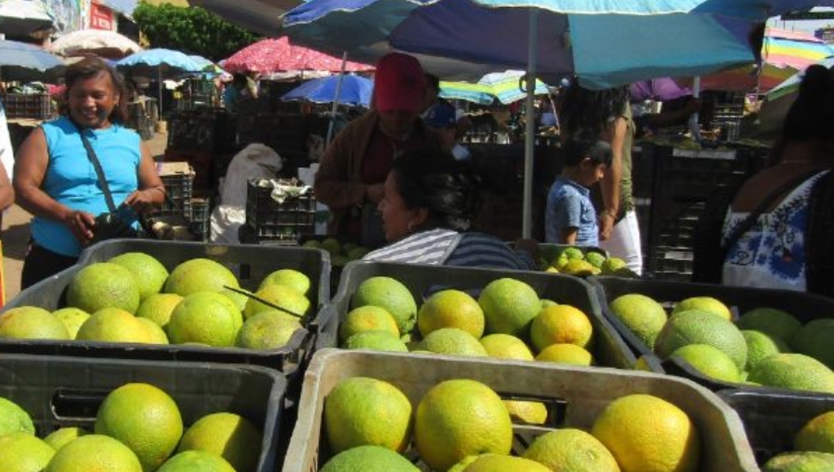 Por escasez, naranja agria incrementa su precio en Candelaria; el kilo se vende en 15 pesos