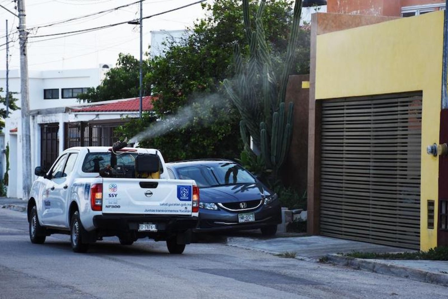 Yucatán registra tres casos de dengue cada 24 horas: SSa