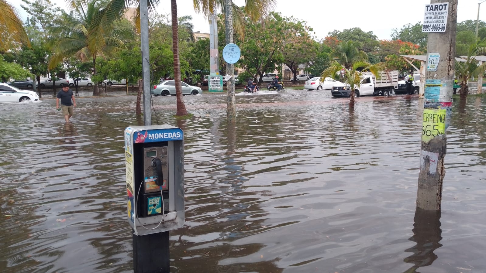 Fuertes lluvias provocan inundaciones en calles de Cancún: FOTOS