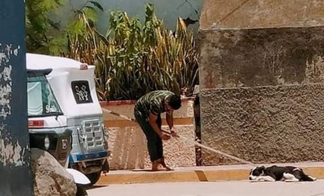 Hombre mata a perro y lo tira a la basura en Oaxaca: 'Le robó la comida a mi hija'