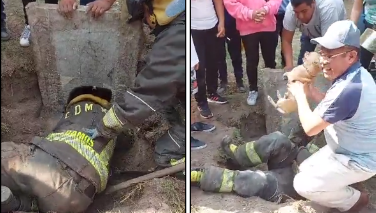 El 'Jefe Vulcano' de los bomberos compartió el video en sus redes sociales