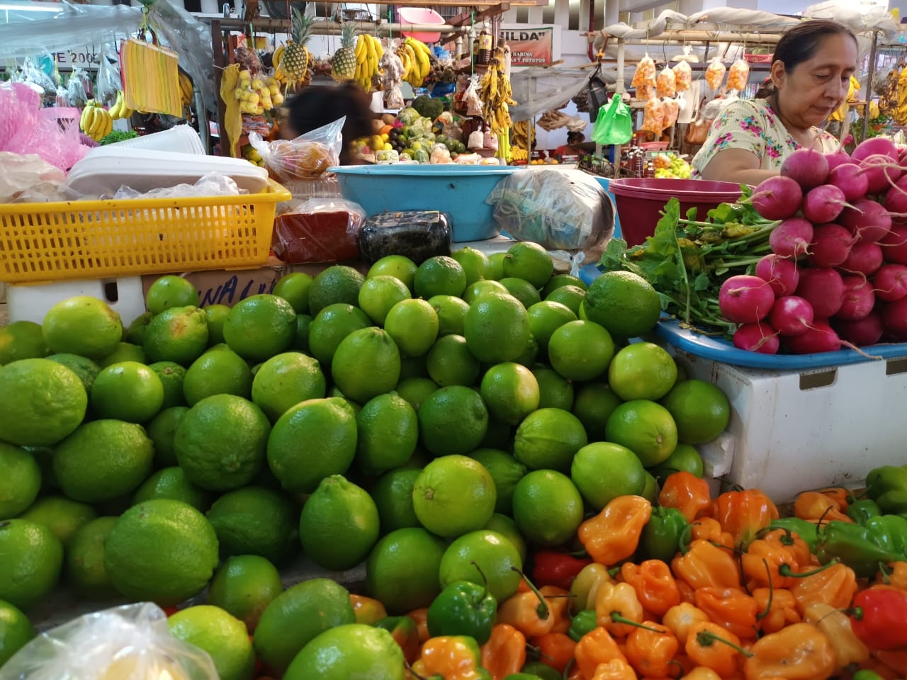 Cae a 100 pesos el precio de la caja del limón persa en mercados de Yucatán