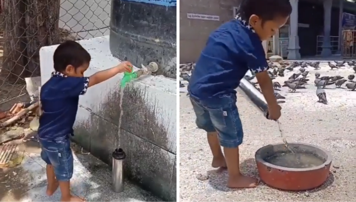 En la India, niño le da agua a los pájaros para refrescarlos ante la ola de calor