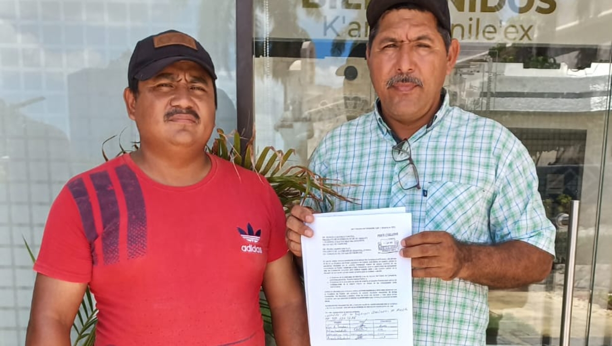 Apicultores de Campeche exigen reformas para la protección de las abejas