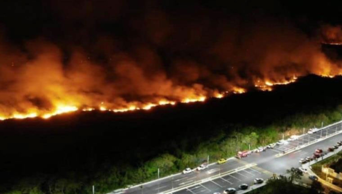 Efecto 'lupa' provoca incendio en zona de manglares en Campeche