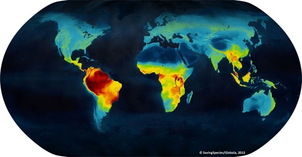 Las altas temperaturas se han sentido en gran parte del planeta