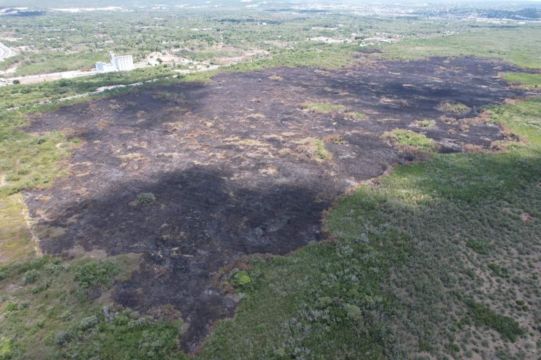Después de 48 horas, sofocan incendio en la Reserva de los Petenes en Campeche