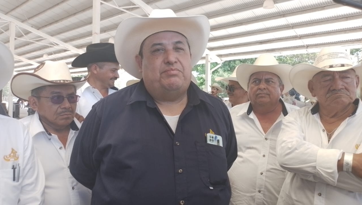 Ganaderos de Campeche exigen apoyo ante la sequía que cobraría la vida de los animales