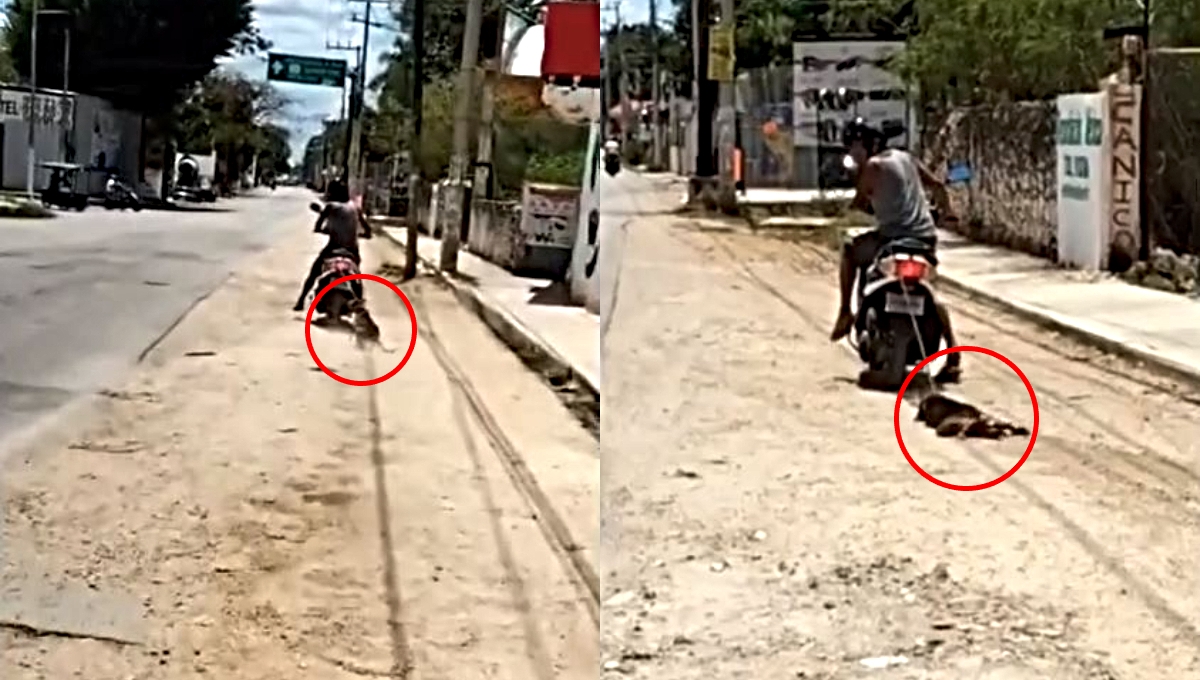 Motociclista arrastra del cuello a un perro hasta la muerte en Ticul: VIDEO