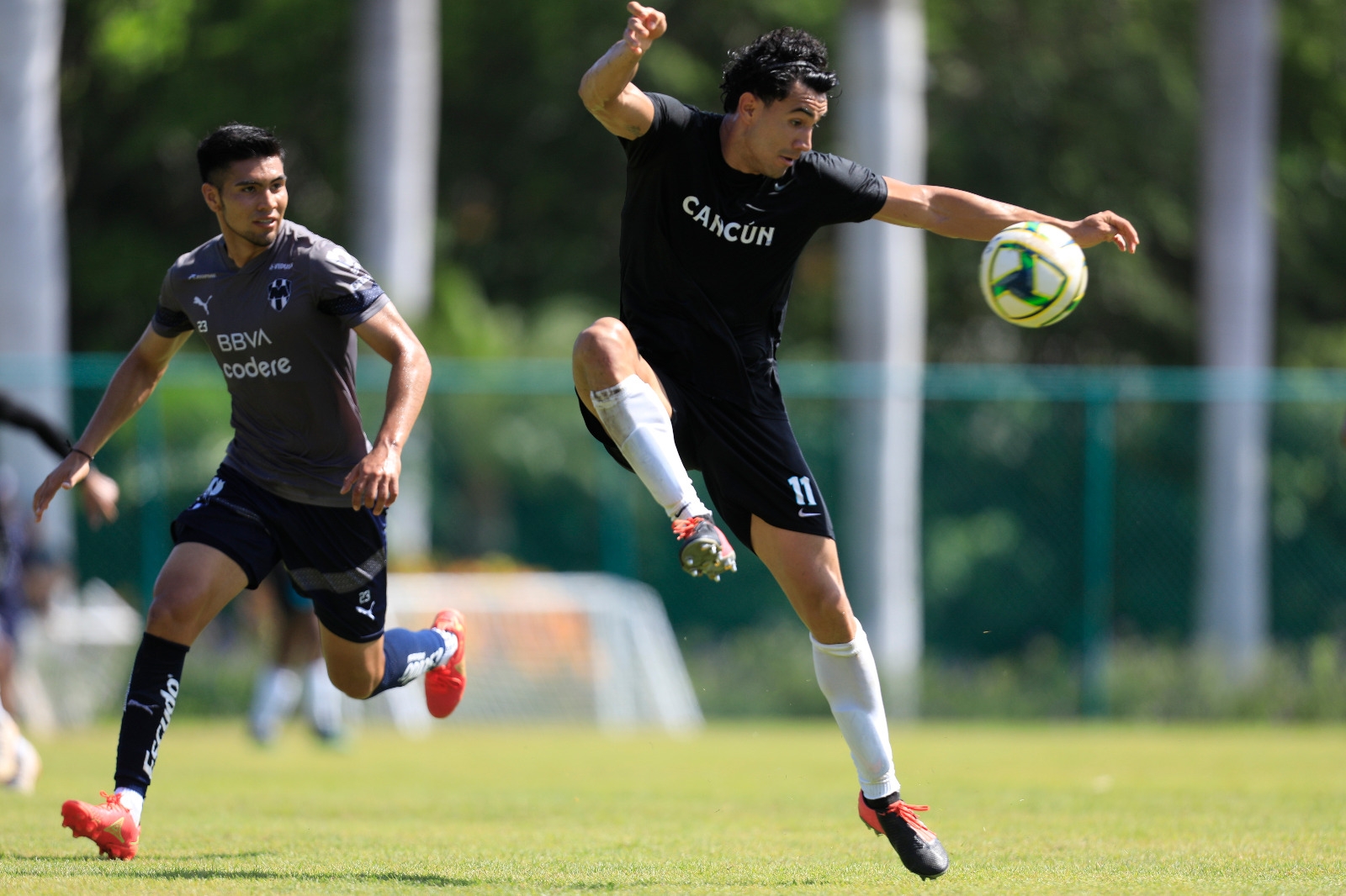 Las Iguanas de la mano de su director técnico, Luis Arce Crespo, probarán sus armas frente al vigente campeón del futbol mexicano