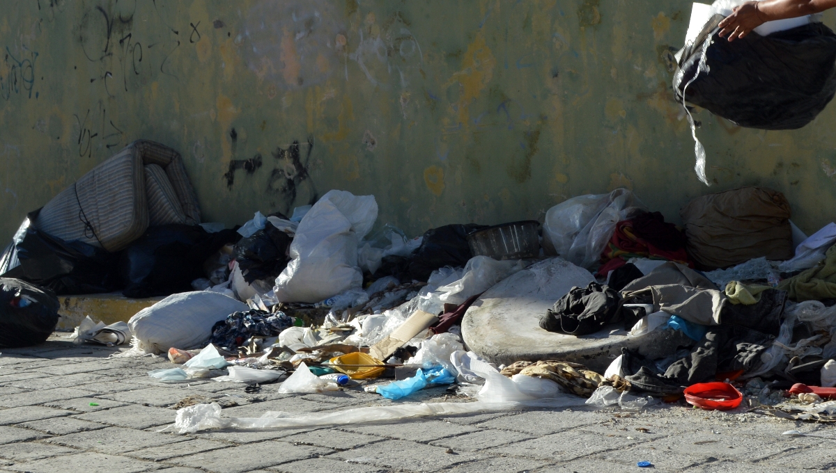 Denuncian a Ayuntamientos de Campeche por ecocidio
