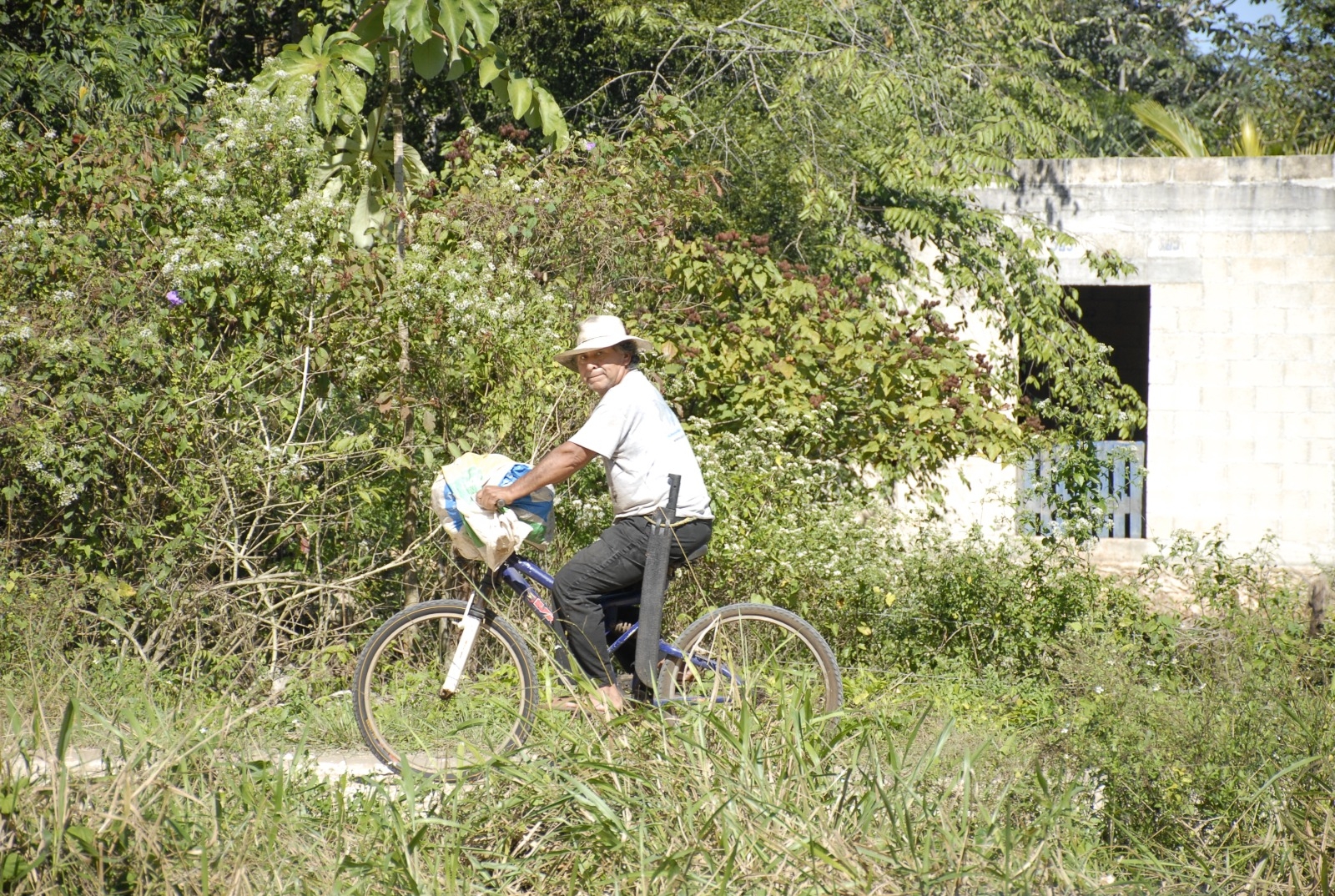 Aluxes se habrían llevado a un apicultor en Carrillo Puerto; lleva 10 días desaparecido