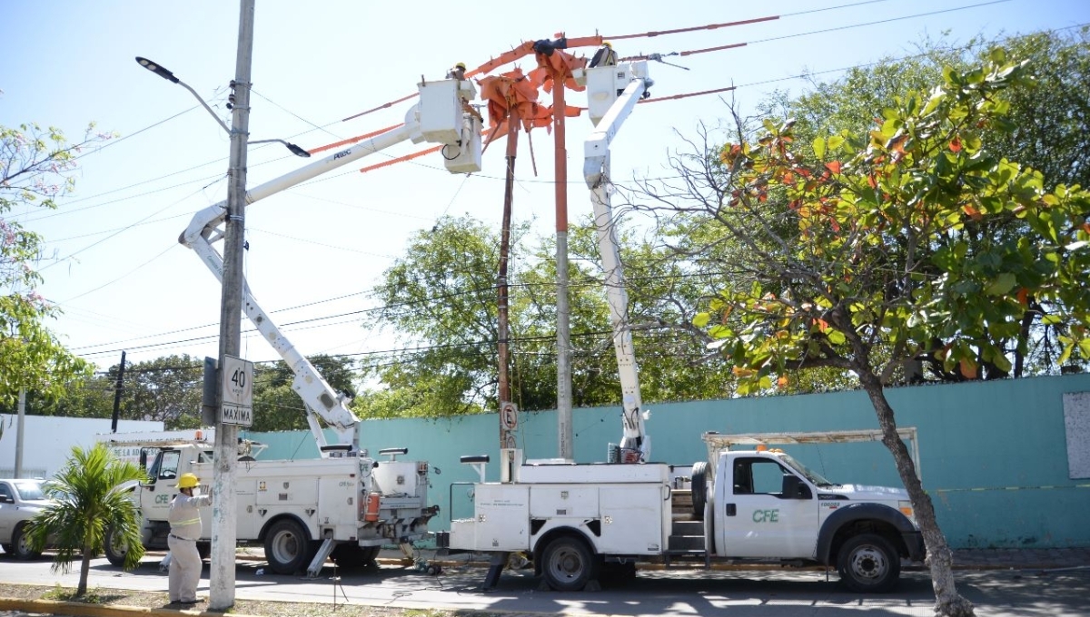 Empresas de Ciudad del Carmen registran pérdidas económicas por fallas en la electricidad
