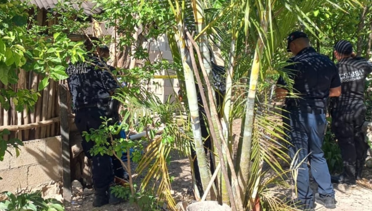 Padre halla a su hijo de 14 años ahorcado de un árbol en Valladolid