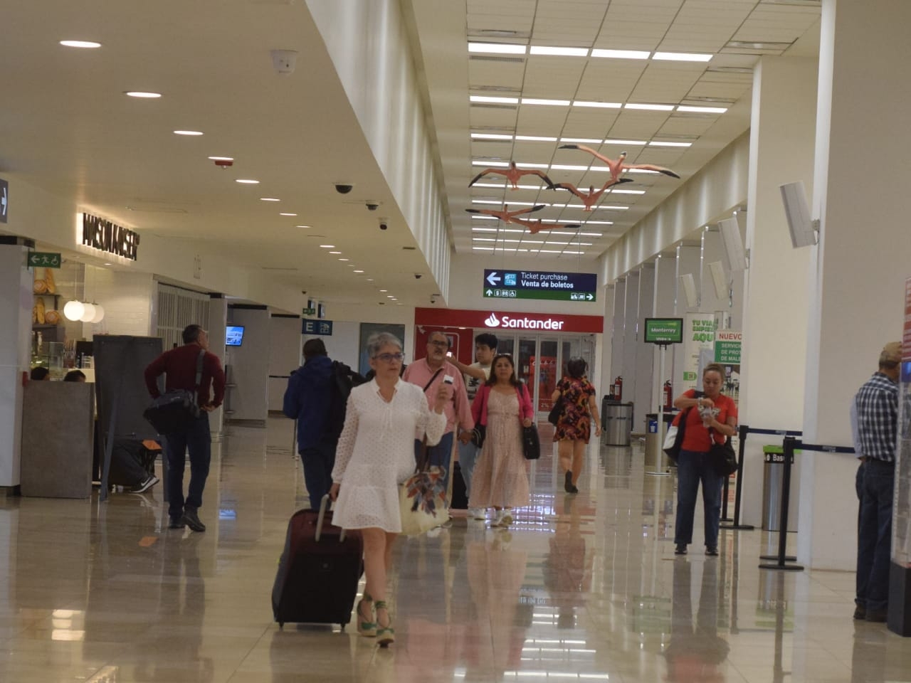 VivaAerobus registra ligeros retrasos en vuelos desde el aeropuerto de Mérida este viernes