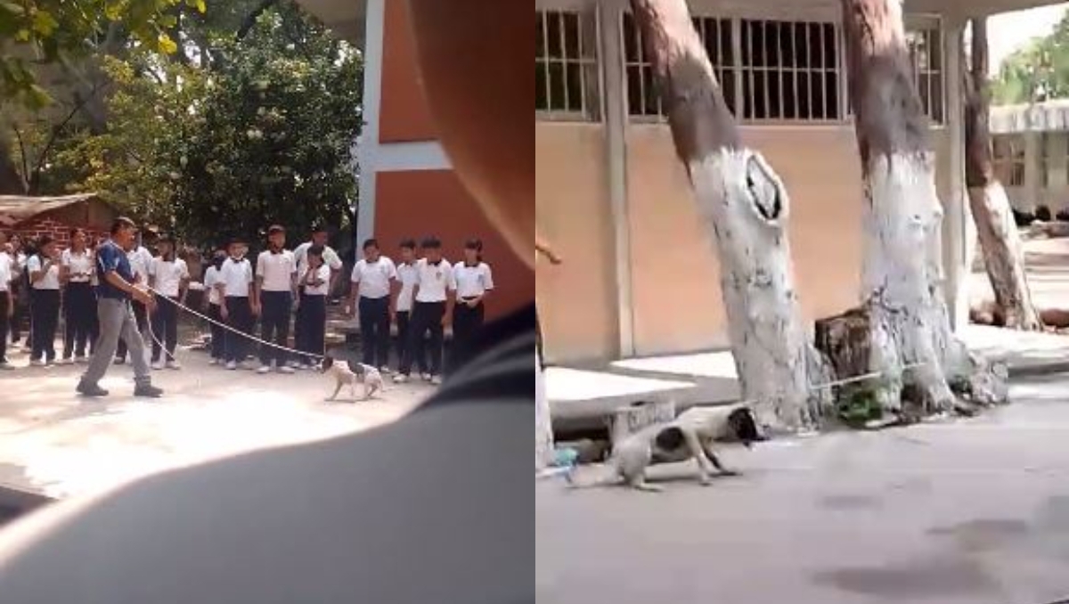 Exponen a Director de una escuela en Juchitán por sacar a perros con sogas y palos: VIDEO