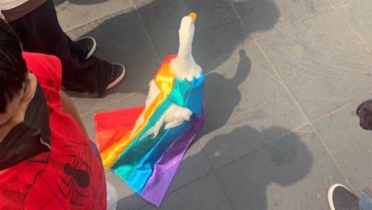 Pato se roba la atención en la Marcha del Orgullo LGBT+ en la CDMX