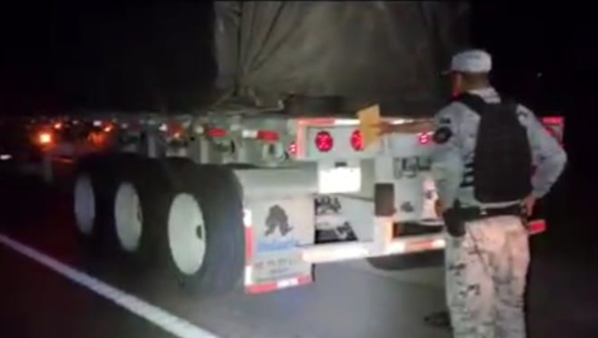 Guardia Nacional asegura tráiler con madera ilegal en la carretera Escárcega-Chetumal