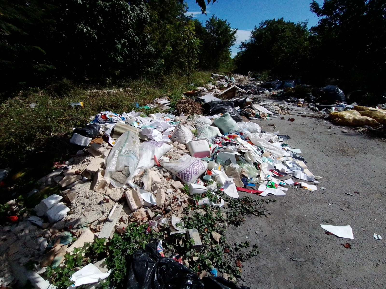 Aumentan los basureros clandestinos en las Regiones de Cancún