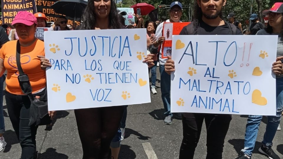 Marchan contra el maltrato animal en la CDMX