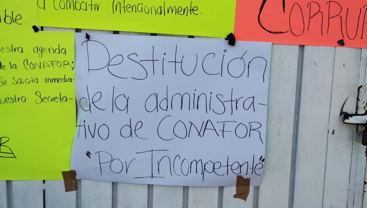 Sindicalizados de Semarnat en Campeche exigen destitución de funcionarios de Conafor por corruptos