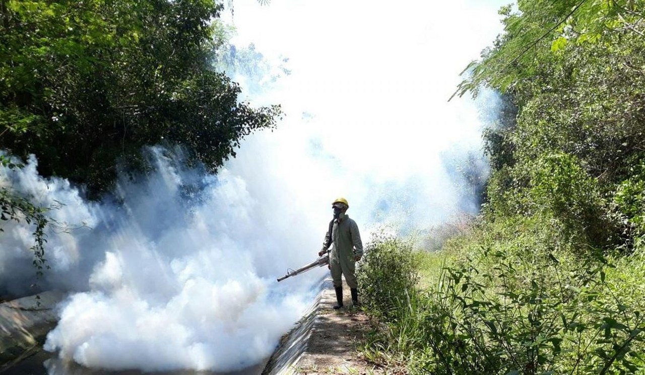 Suman tres muertes por dengue en Quintana Roo