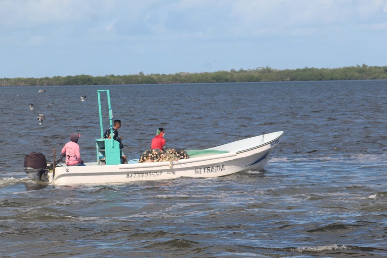 Temporada de langosta: Pescadores exigen cámara hiperbárica en el puerto de Chiquilá