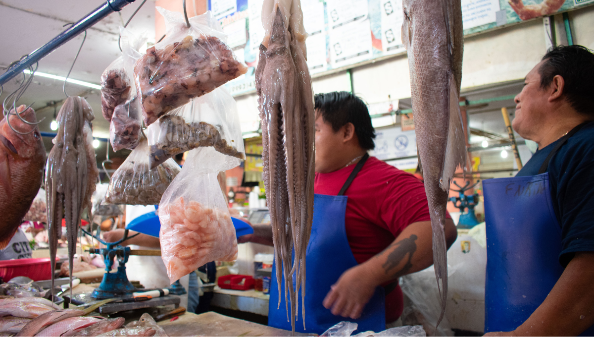 Crisis en la venta de pulpo en Yucatán; por primera vez en 20 años no se exportó a Europa